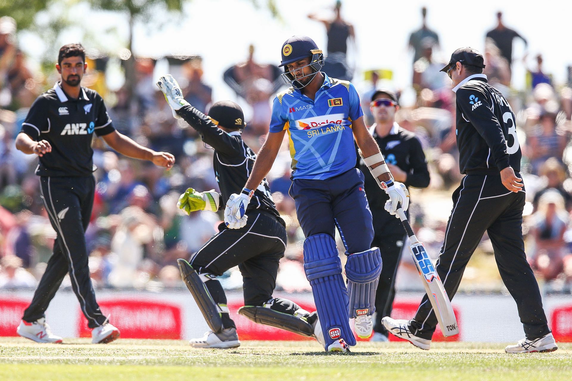 New Zealand vs Sri Lanka 