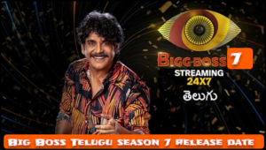 Bigg Boss 8 Telugu Contestants 