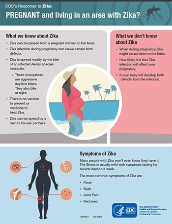 Zika virus  