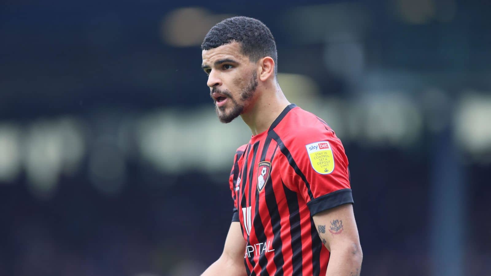 Newcastle United F.C. Dominic Solanke A.F.C. Bournemouth Premier League Forward Callum Wilson Liverpool F.C. 