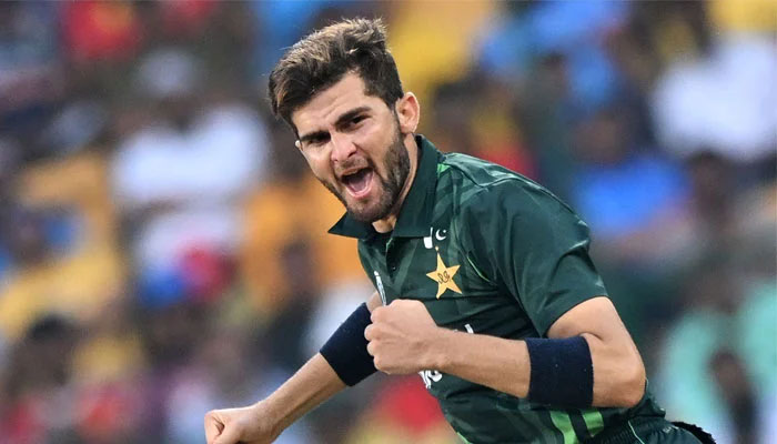 Shaheen Afridi One Day International Pakistan national cricket team South Africa national cricket team Wasim Akram Cricket Bowling (cricket) Waqar Younis 