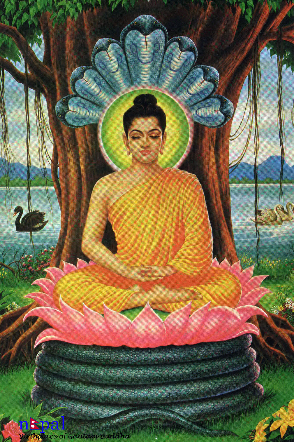 Buddha 