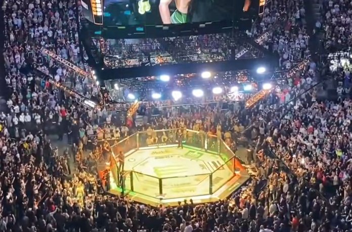 UFC 303 