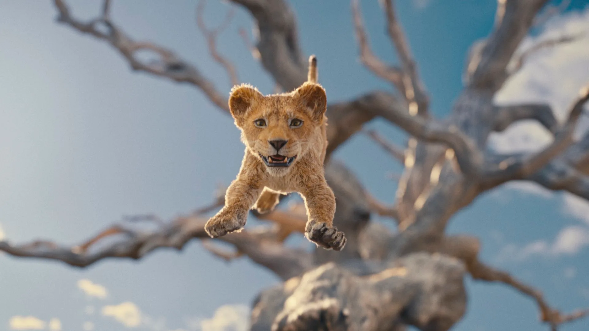 The Lion King Scar D23 Mufasa The Walt Disney Company Barry Jenkins 