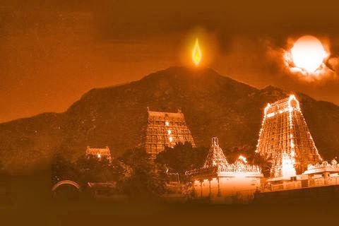 Karthika Deepam Arulmigu Arunachaleswarar Temple - Thiruvannamalai 2024 