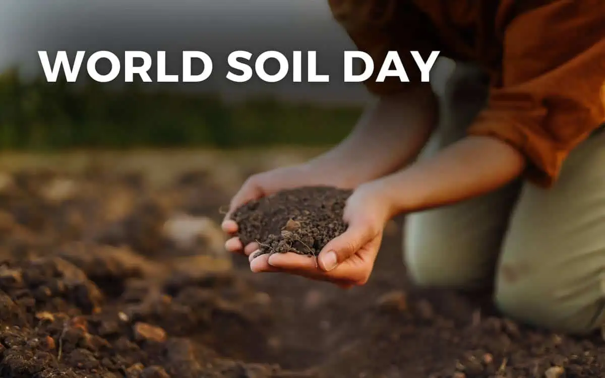 World Soil Day 