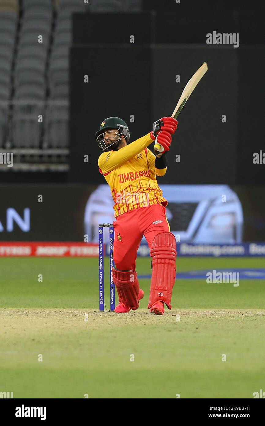 Zimbabwe national cricket team Gambia national cricket team 