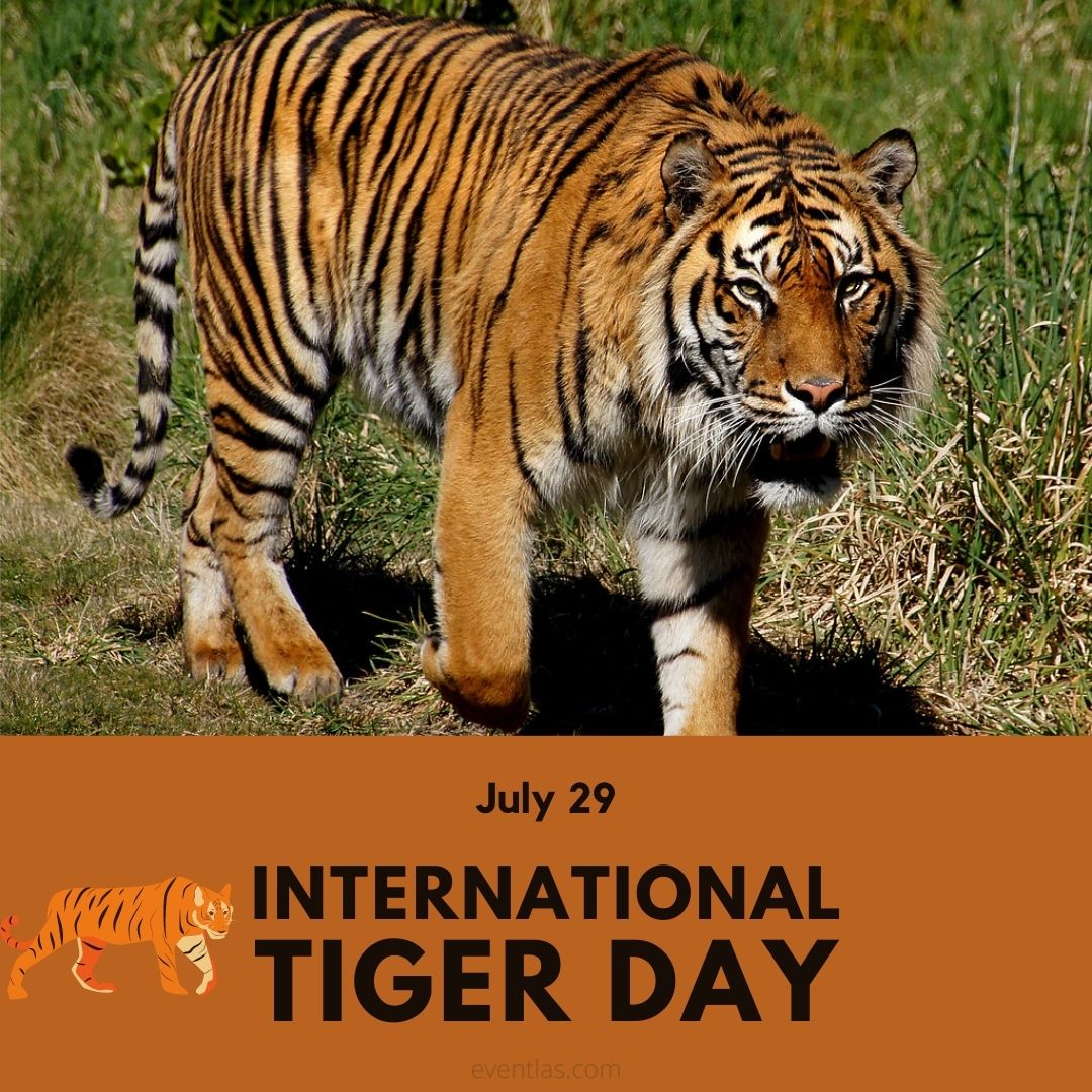 International Tiger Day  