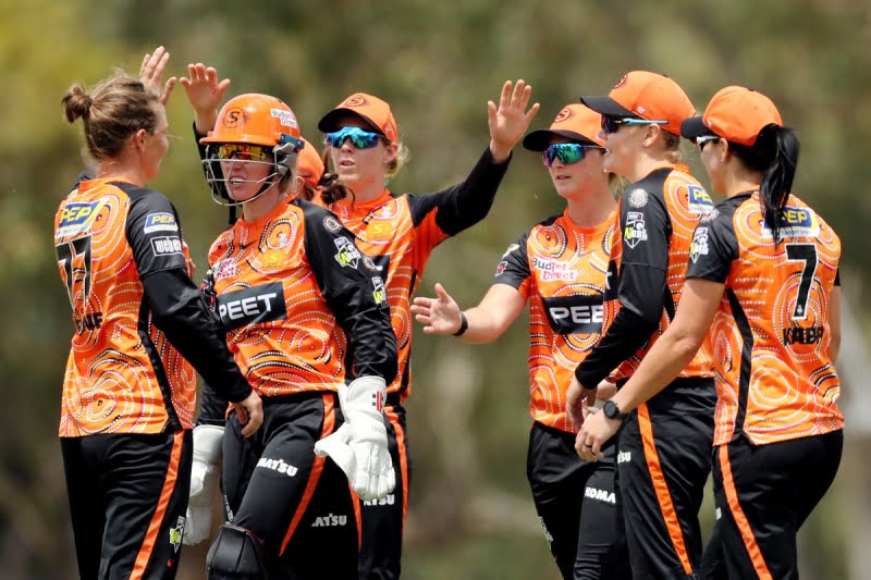 Melbourne Renegades Perth Scorchers Womens Big Bash League Cricket Melbourne Stars Dream11 