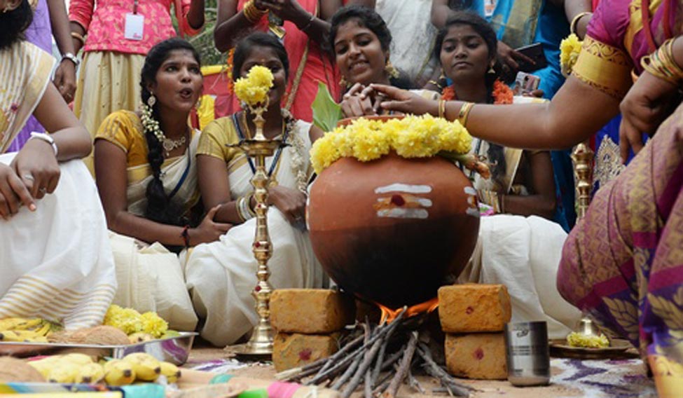 Pongal  