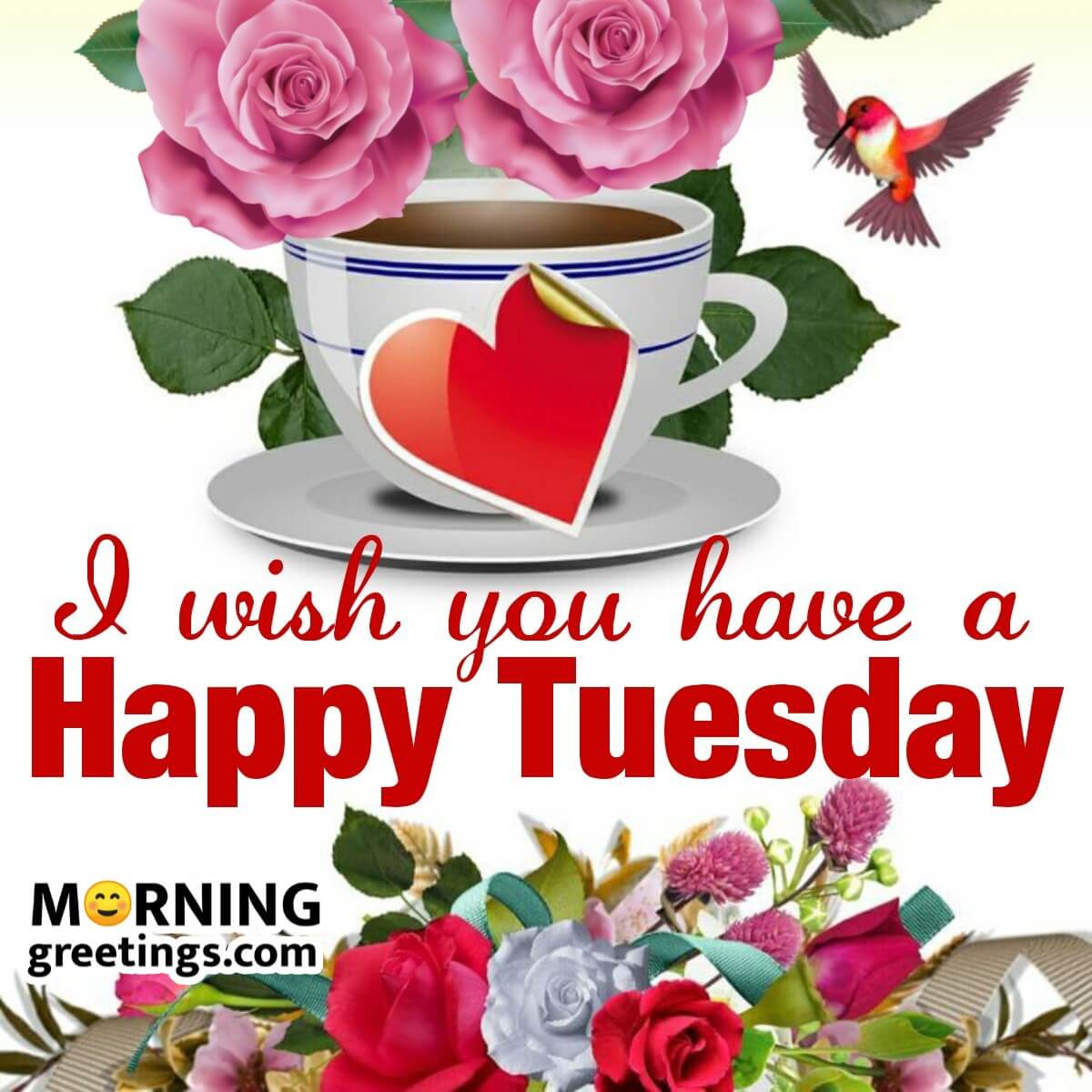 God Morning Tuesday  