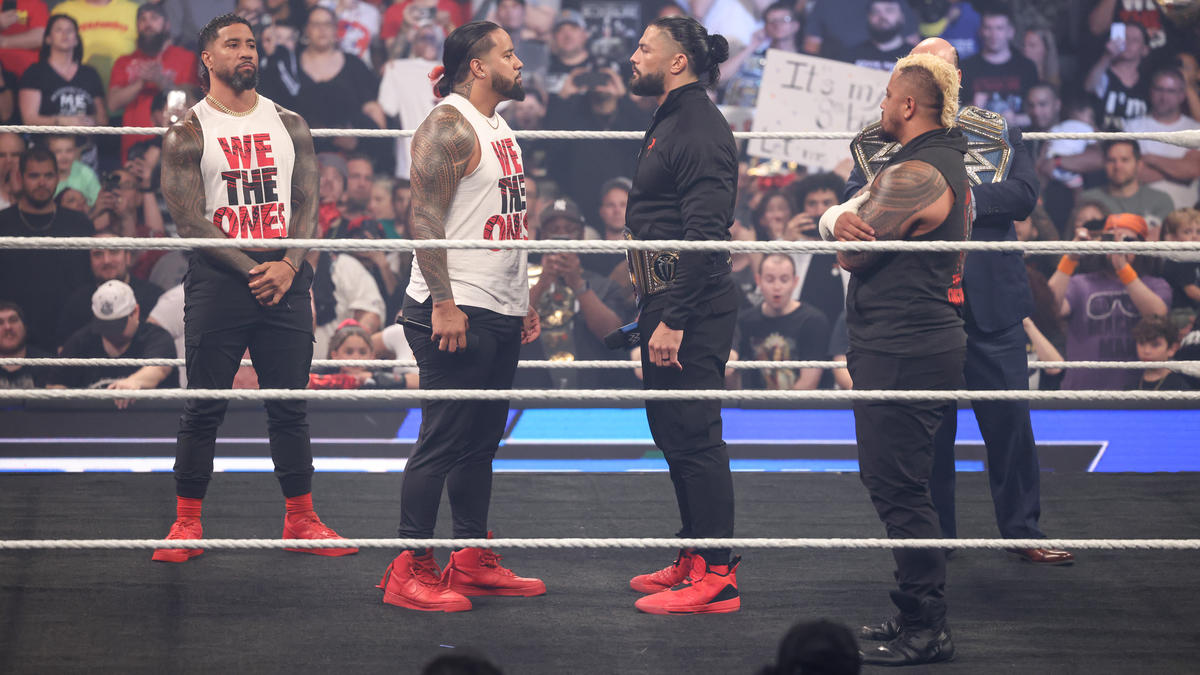 WWE Money in the Bank WWE Roman Reigns WWE Superstars Randy Orton WWE SmackDown! CM Punk 