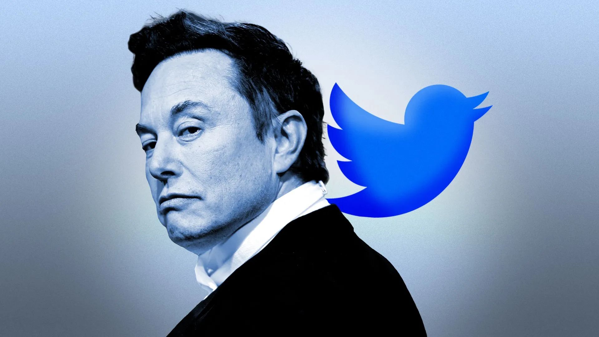 X ( Twitter)
 