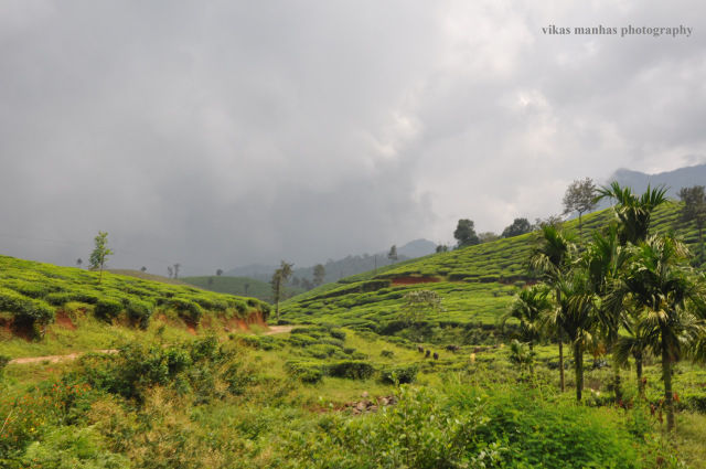 Wayanad Landslide 