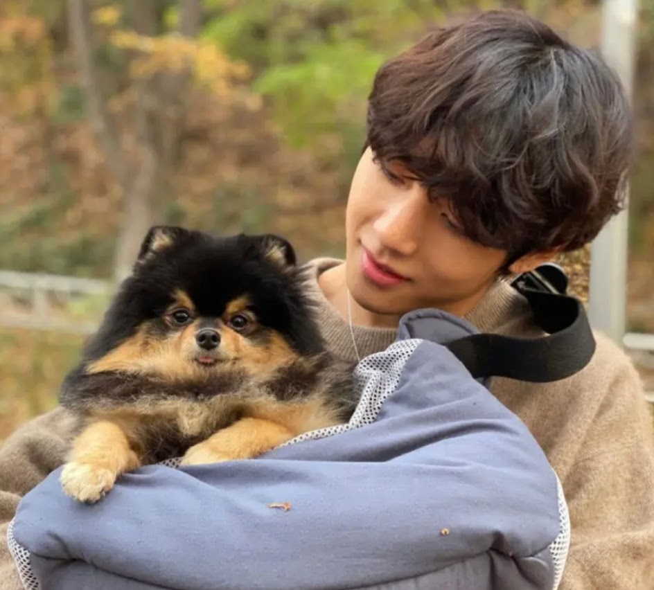 V BTS Dog 