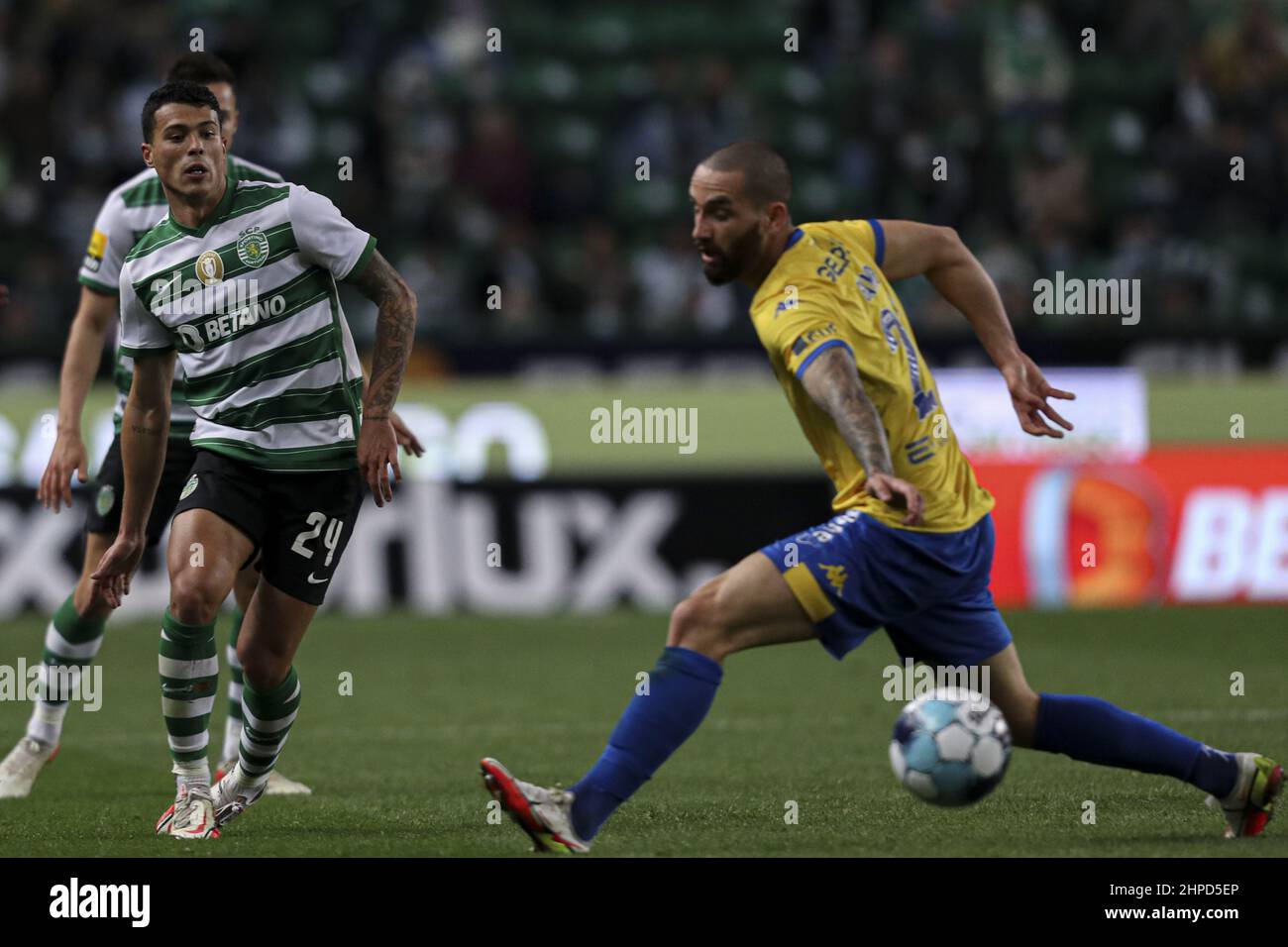 Sporting CP G.D. Estoril Praia Liga Portugal 