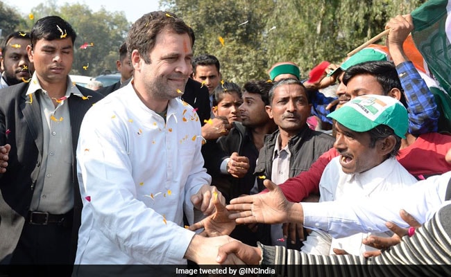 Rahul Gandhi Indian National Congress Amethi Lok Sabha Priyanka Gandhi Vadra Sonia Gandhi Raebareli Bharatiya Janata Party 