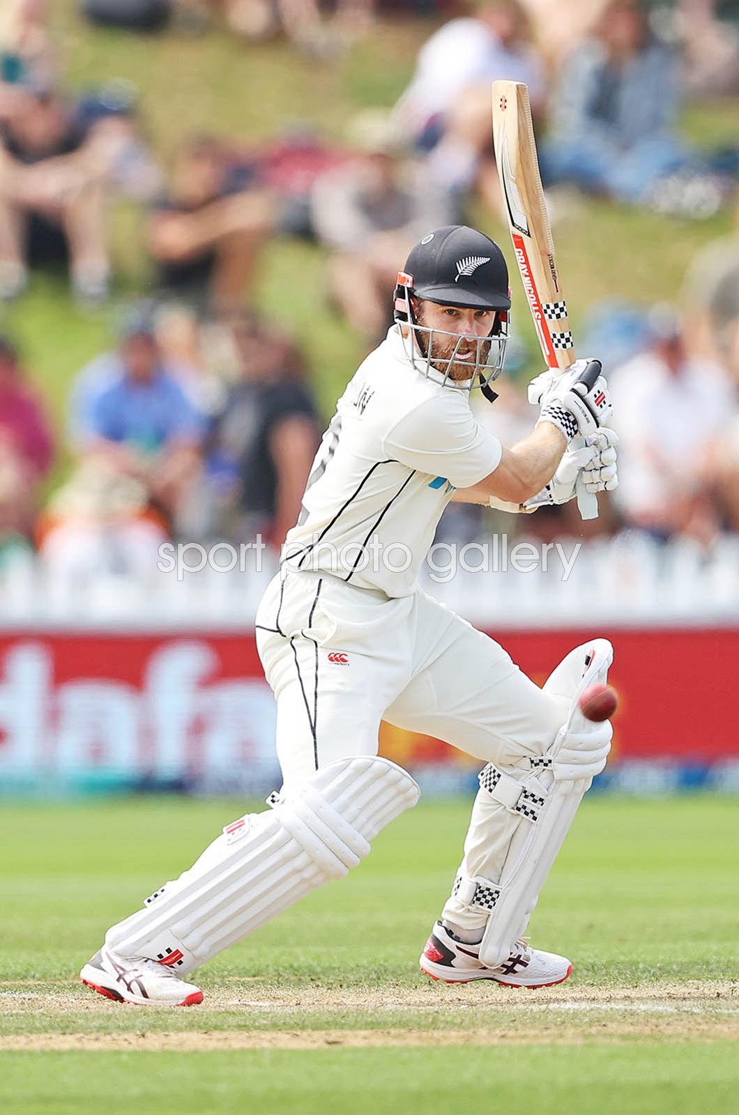 Kane  Williamson 