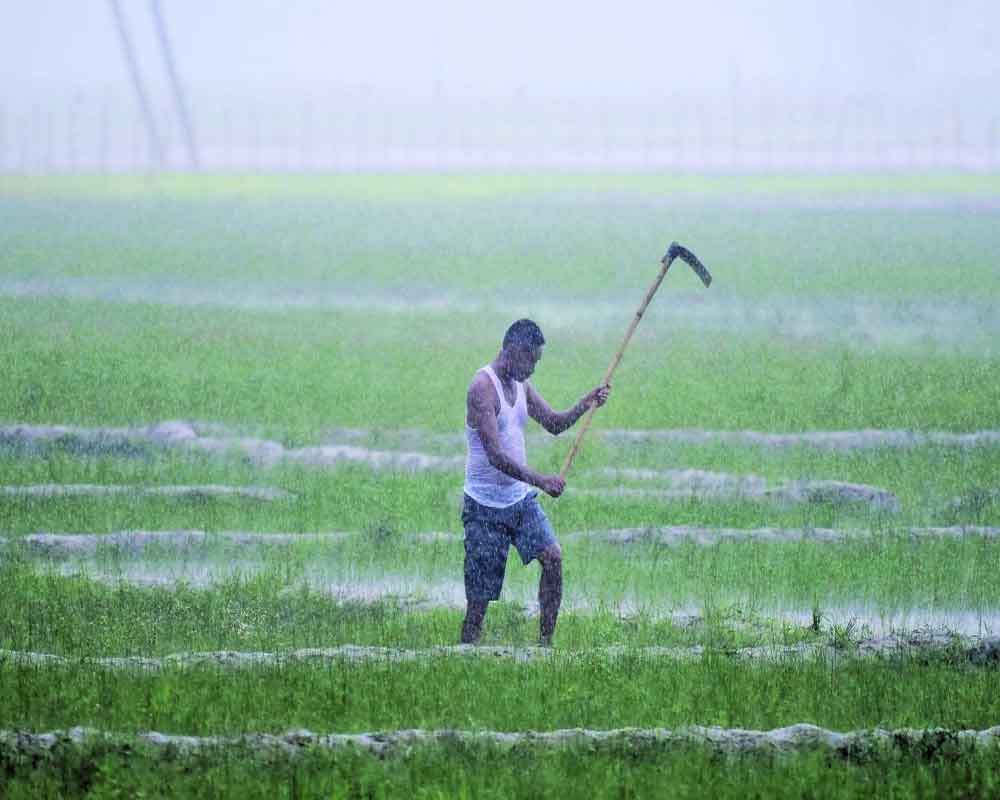 Chennai Rains 