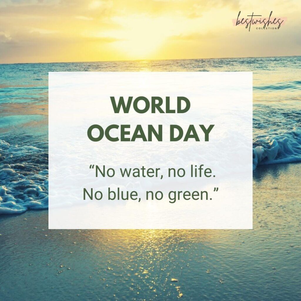 World Oceans Day 